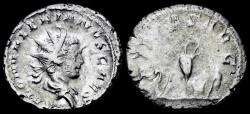 Ancient Coins - Saloninus, as Caesar AR antoninianus sacrificial implements