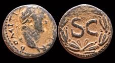 Ancient Coins - Syria Seleucis and Pieria Antioch Domitian AE20 Large S C