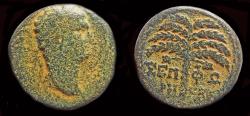 Ancient Coins - Judaea Palestine Sepphoris Trajan AE23