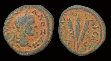 Ancient Coins - Cappadocia Caesarea-Eusebia Severus Alexander AE20
