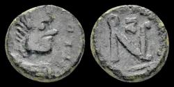 Ancient Coins - Zeno AE nummus monogram within wreath