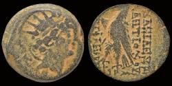 Ancient Coins - Seleucid Kingdom Antiochos VIII Epiphanes Grypos AE18 eagle standing right