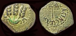 Ancient Coins - Judaea Herodians Agrippa I AE prutah