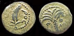 Ancient Coins - Judaea Coponius Roman Prefect Under Augustus AE prutah