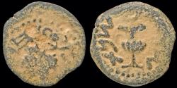 Ancient Coins - Judaea First Jewish War AE prutah