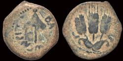 Ancient Coins - Judaea Herodians Agrippa I AE prutah