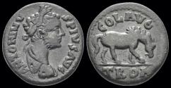 Ancient Coins - Troas Alexandria Caracalla AE As horse feeding right
