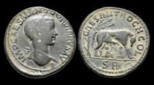 Ancient Coins - Antioch Pisidia Gordian III AE medallion She-wolf suckling Romulus and Remus