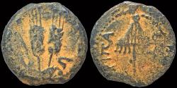 Ancient Coins - Judaea Herodians Agrippa I AE prutah