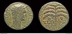 Ancient Coins - Judaea Palestine Sepphoris Trajan AE22