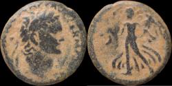Ancient Coins - Judaea Caesarea Judaea Capta Domitian AE19.