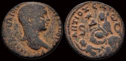Ancient Coins - Seleucis and Pieria Antioch Severus Alexander, as Caesar AE26