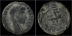 Ancient Coins - Divo Constantino AE15