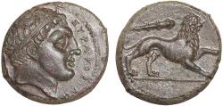 Ancient Coins - Sicily. Syracuse: AE litra – Herakles/Lion – EF; fine style with excellent detail