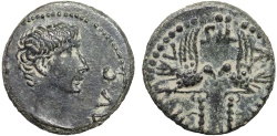 Ancient Coins - Augustus AE18; Berytus. Phoenicia – Aquilae