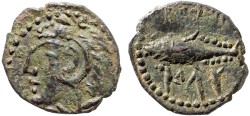 Ancient Coins - Spain, Gades (Gadir): AE quarter unit (quater calco, AE17) – Melqart/Tunny – Scarce, aEF