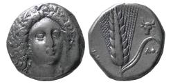 Ancient Coins - LUCANIA, Metapontum. 330-280 BC. AR Nomos.