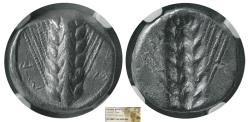 Ancient Coins - LUCANIA, Metapontum. Circa 470-440 BC. AR Stater. NGC-XF.