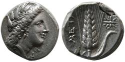 Ancient Coins - LUCANIA, Metapontum. Circa 330-280 BC. AR Stater.