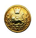 World Coins - IRAN: Qajar era Pre 1925 Bronze military Button, Lion and the Sun, German Made!