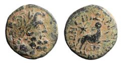 Ancient Coins - Antioch, time of Augustus, Ae 20 (Star of Bethlehem)
