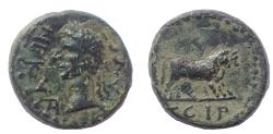 Ancient Coins - Mysia, Parium, Nerva, 96-98 AD. AE 17. Very Rare.
