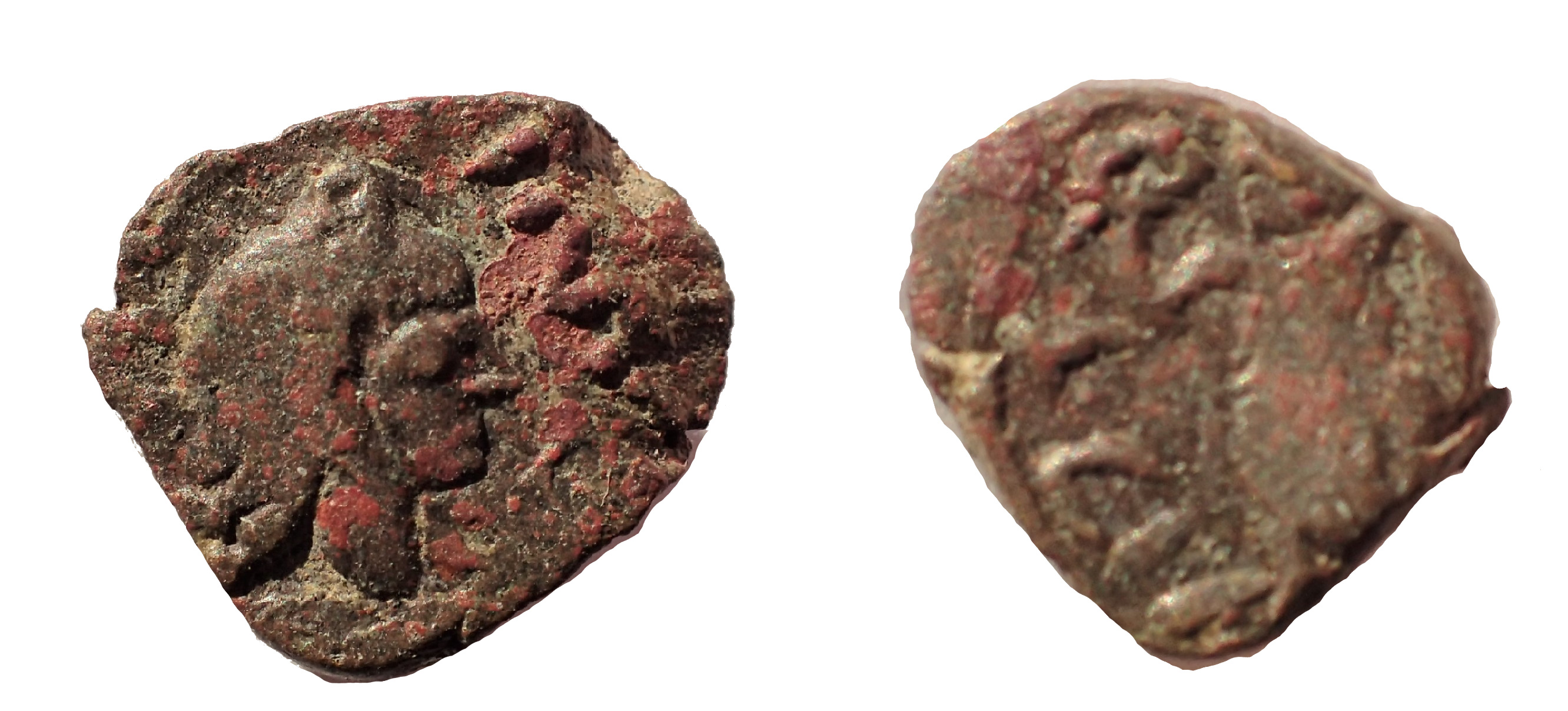 Vandals, Thrasamund. AD 496523. Æ Nummus. Rare. Roman Imperial Coins