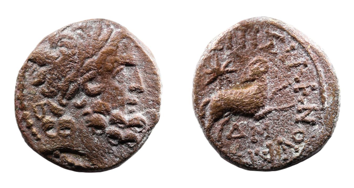 Antioch, time of Augustus, Ae 19 (Star of Bethlehem) | Greek Coins