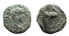 Ancient Coins - Thrace. Hadrianopolis. Gordian III (238-244). Ae 16. Rare Ostrich reverse.
