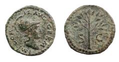 Ancient Coins - Domitian. AD 81-96. Æ Quadrans