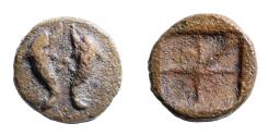 Ancient Coins - Aegina, Aegina. circa 370-350, Æ 12, Ex NAC, CNG.