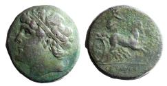 Ancient Coins - Sicily, Syracuse. Hieron II (275-215 BC). Æ 35. Very Rare.