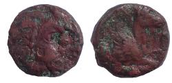 Ancient Coins - Tauric Chersonesos. Pantikapaion. Circa 325-300 BC. Æ 15