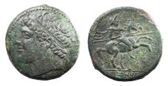 Ancient Coins - Sicily, Syracuse. Hieron II. 275-215 BC. Æ Dilitron