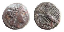 Ancient Coins - Sicily, Akragas. Phintias (287-279 BC). Æ 22