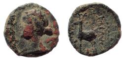 Ancient Coins - Cappadocian Kingdom, Ariarathes X Eusebes Philadelphos, 42 - 36 B.C. AE 15