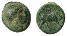 Ancient Coins - SELEUCID EMPIRE.Seleucus I Nikator 321-280 BC.AE. Mint of SELEUCIA-ON-THE TIGRIS.