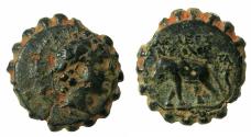 Ancient Coins - SELEUCID EMPIRE.Antiochus VI 145-141 BC.AE.22.1mm. Antioch mint. Serrated edge. Elephant.