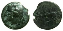 Ancient Coins - NUMIDIA.Massinissa or Micipsa circa 203-148-118 BC.AE. 25.3mm.