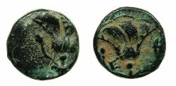 Ancient Coins - CARIA.RHODES, Island of. Circa 394-304 BC.AE.Chalkous. Rose bud both sides.