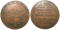 World Coins - ARGENTINA.LA PLATA.AE.Medallion 1882.