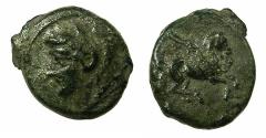 Ancient Coins - SICILY.CEPHALOEDIUM.Circa 254-212 BC.AE.13.8mm. Young Herakles left. Pegasus. RARE.
