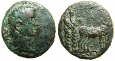 Ancient Coins - MACEDON.Uncertain Philippi?.Tiberius AD 14-37.AE.12.Colonist with oxen