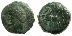 Ancient Coins - NUMIDIA.Massinissa or Micipsa circa 203-148-118 BC.AE.27mm.