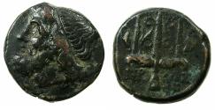 Ancient Coins - SICILY.Syracuse.Hieron II 274-216 BC.AE.19.2mm