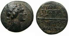 Ancient Coins - SYRIA.SELEUCIS AND PIERIA.APAMEA.Pseudo Autonomous issue under Augustus.AE.Struck 20/19 BC.