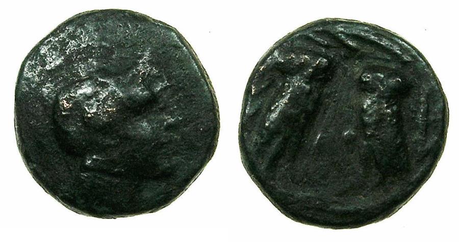 Ancient Coins - ATTIKA.ATHENS.3rd cent BC.AE.14mm. Reverse.Two Owls.