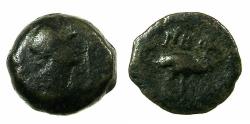 Ancient Coins - EGYPT.ALEXANDRIA.Trajan AD 98-117. Anepigraphic issue.AE.Dichalkon.struck AD 108/9. Reverse.Ibis.