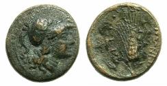 Ancient Coins - LUCANIA.METAPONTUM.4th - 3rd cent BC.AE.20.5mm. Athena.Reverse.Barley ear. RARE.