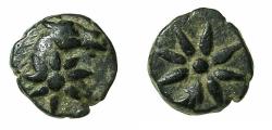 Ancient Coins - BLACK SEA.Uncertain Pontic region.Anepigraphic.AE.10.2mm. Horse head with star on neck.